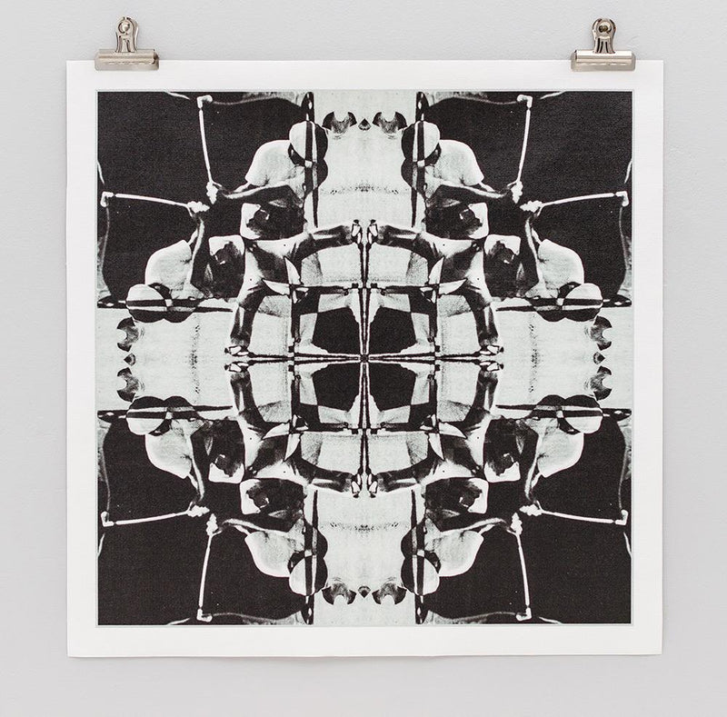 THE HAWK MANDALA PRINT BY JESSE HAGGE image