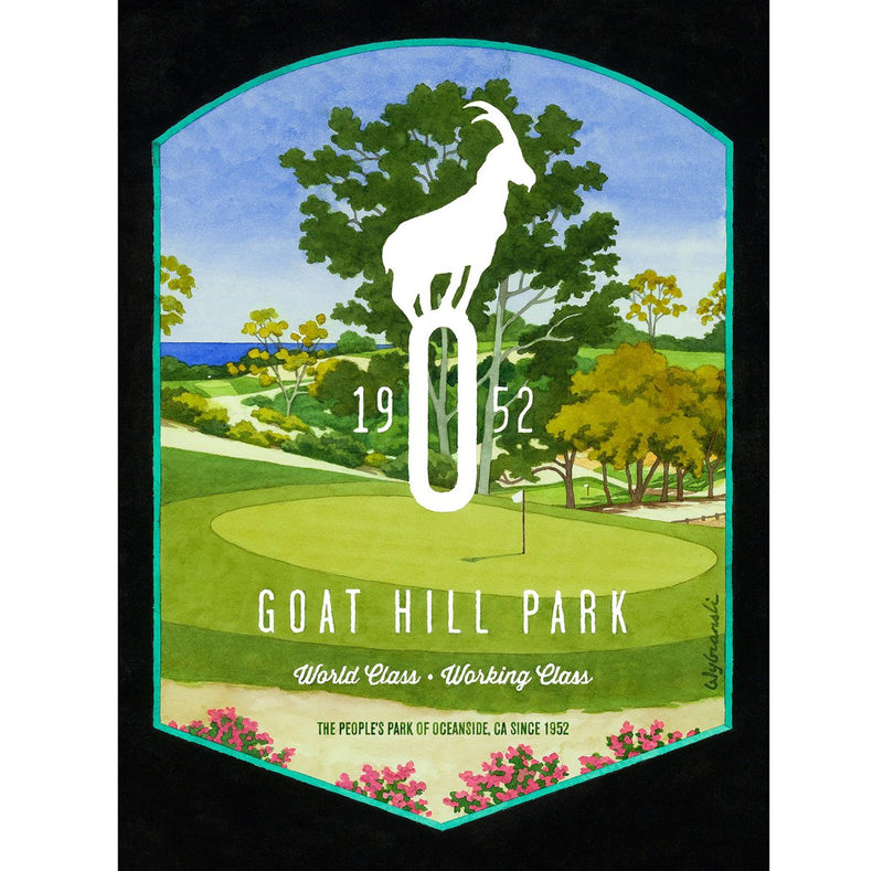 Goat Hill Park Poster by Lee Wybranski image